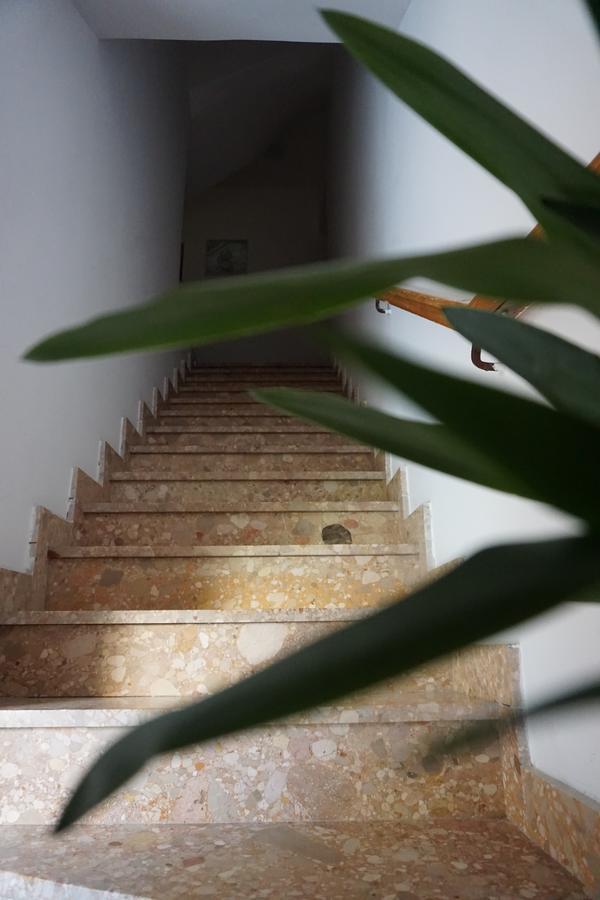 Bed And Breakfast Ivanka Mali Lošinj Esterno foto